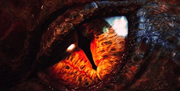 "The Hobbit: The Desolation of Smaug"